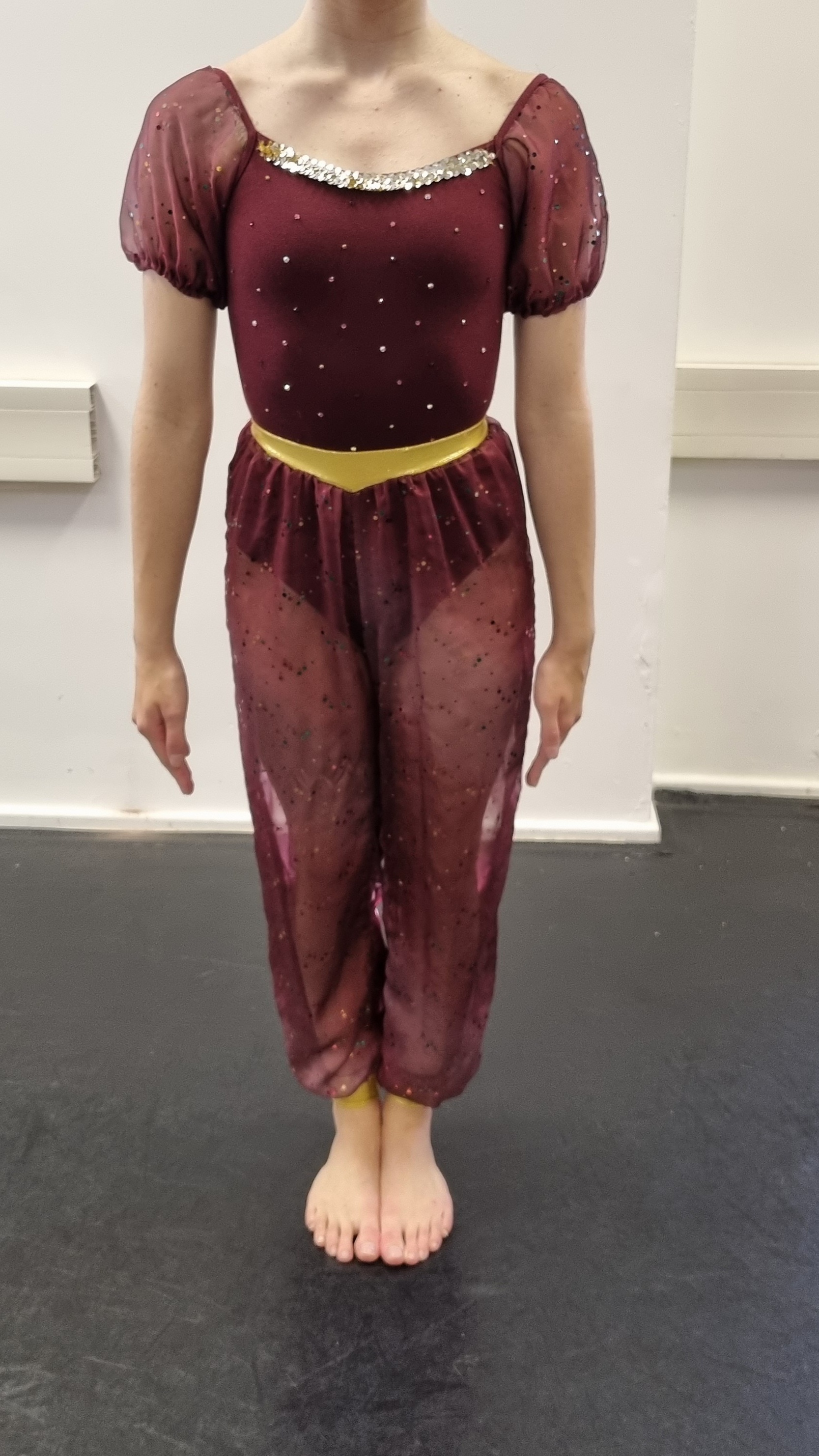 Aladdin Burgundy Arabian Leotard and Trousers (with gems)