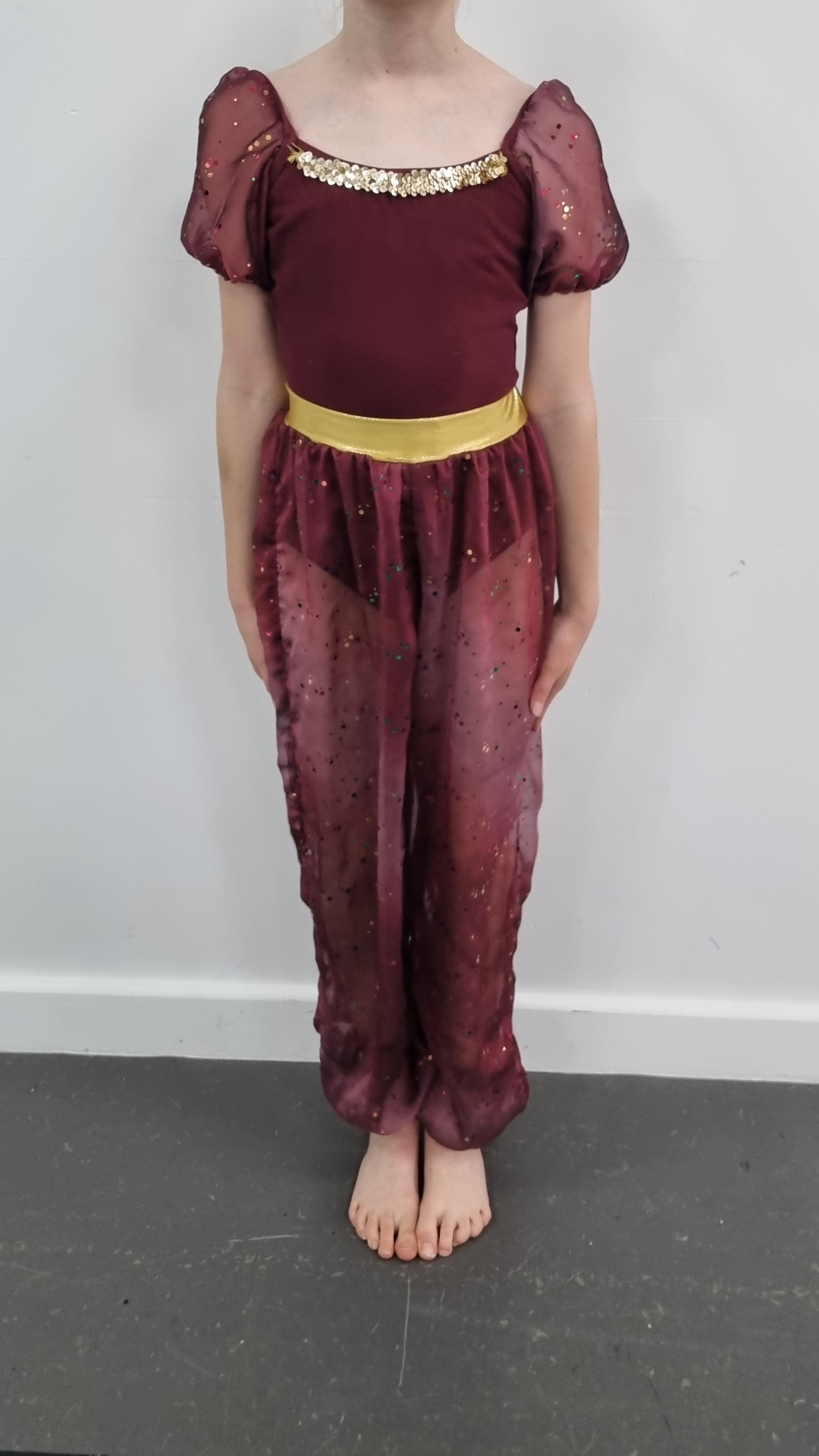 Aladdin Burgundy Leotard and Trousers (no gems)